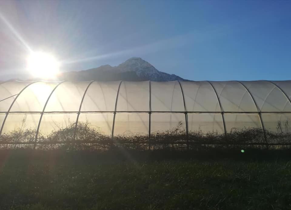 Cascina Borgofrancone Aparthotel Gera Lario Buitenkant foto